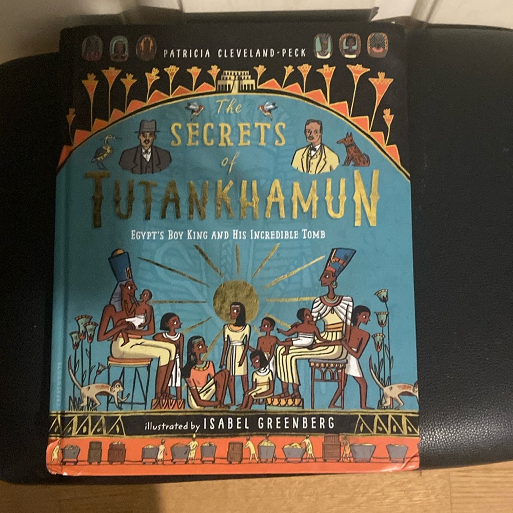 The book The Secrets of Tutankhamun.